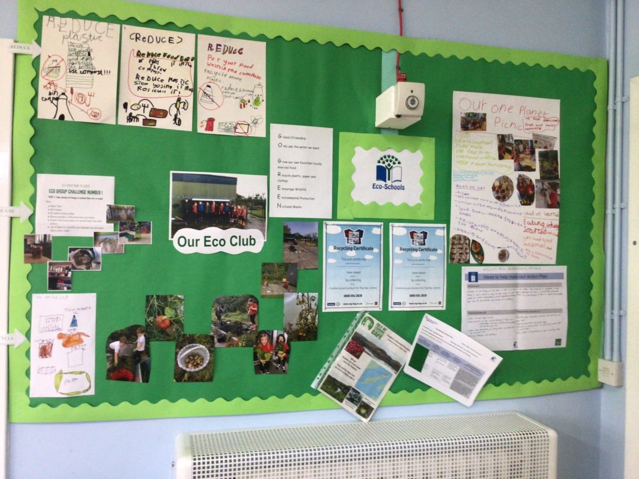 Eco- Schools! | Lismore Primary School