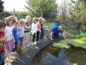 POND DIPPING