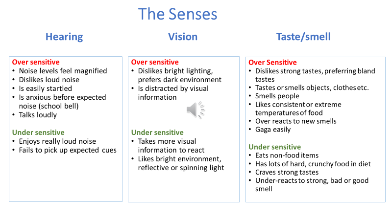 The Senses Hearing, Vision , Taste/Smell 