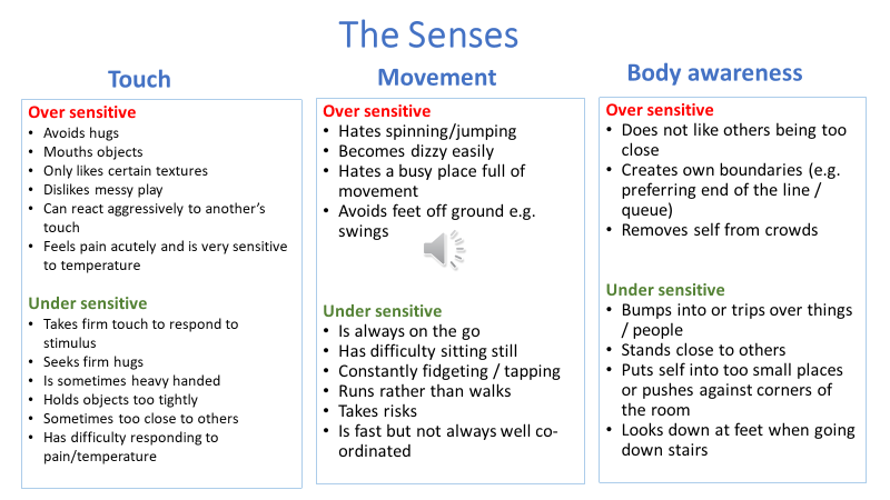 The Senses Touch, Movement, Body awareness