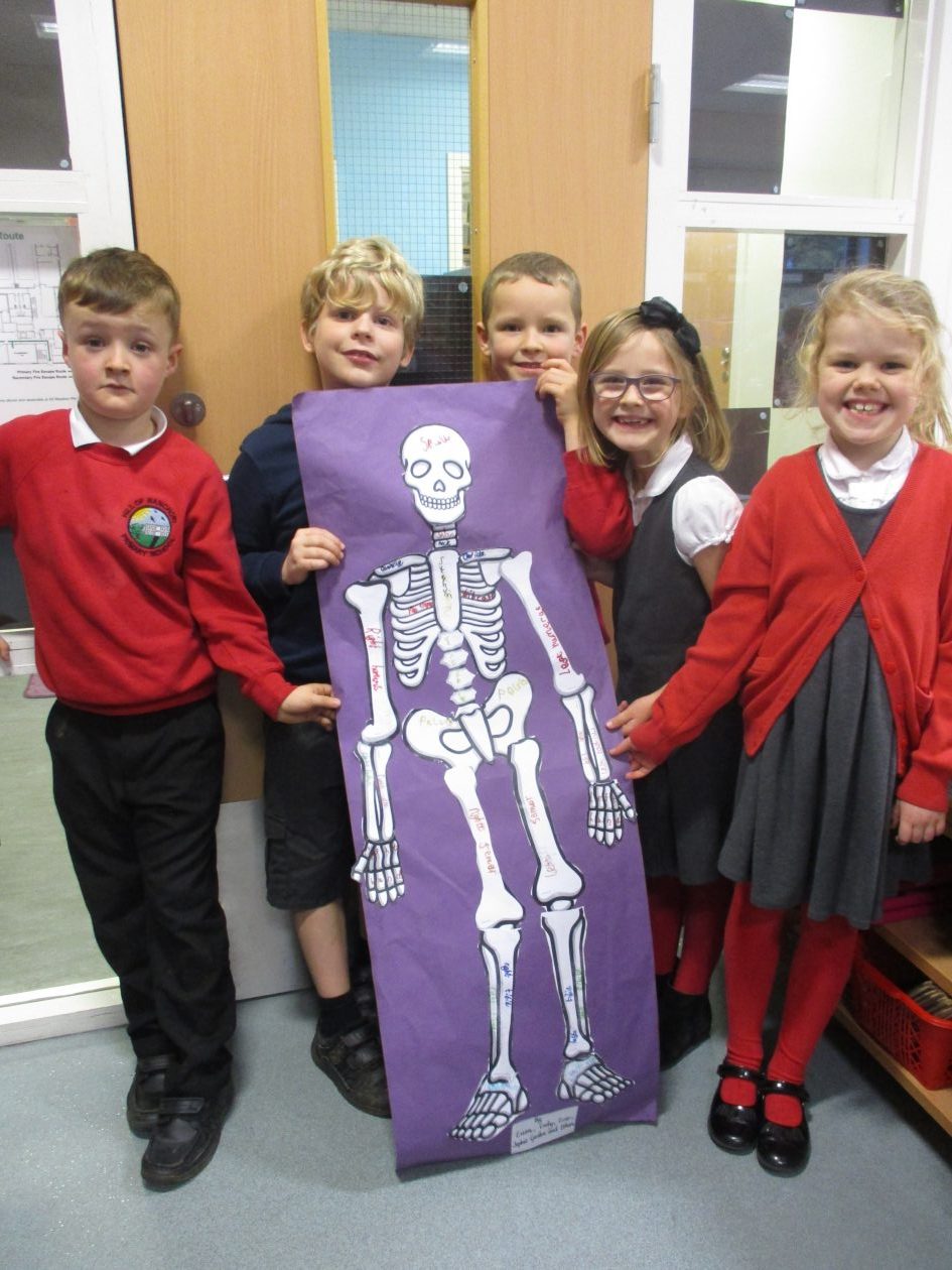 Primary 3S – Bones and Bodies!