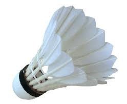 shuttlecock