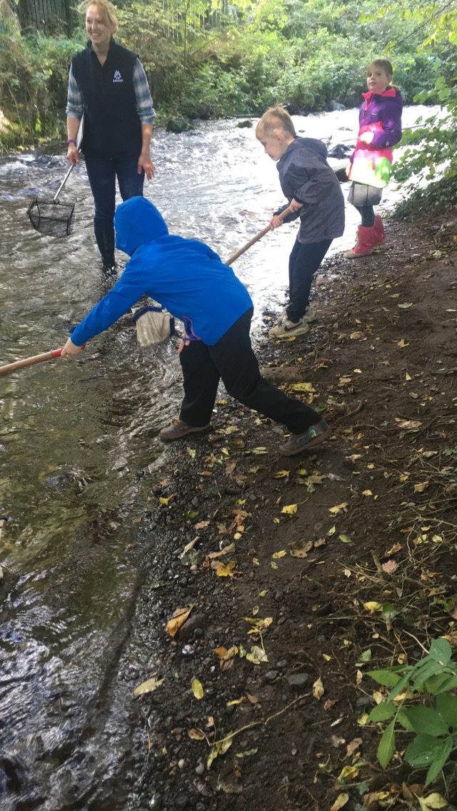 Pond dipping | P3A@MenstriePrimary