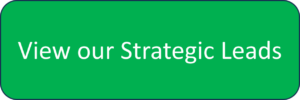 View our strategic leads