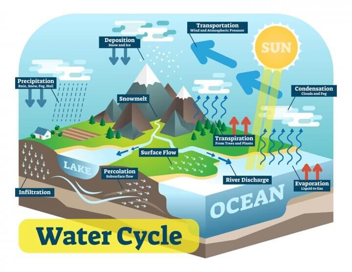 The water cycle