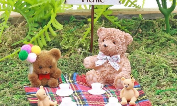 P1 and P6 – ECC Teddy Bears Picnic