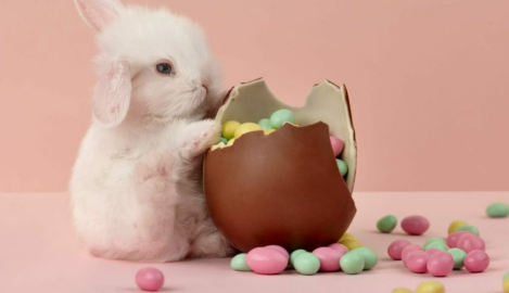 Easter Egg & Bunny Raffle