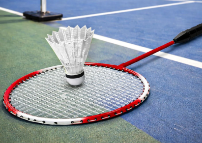 P5, P6 & P7 After School Badminton