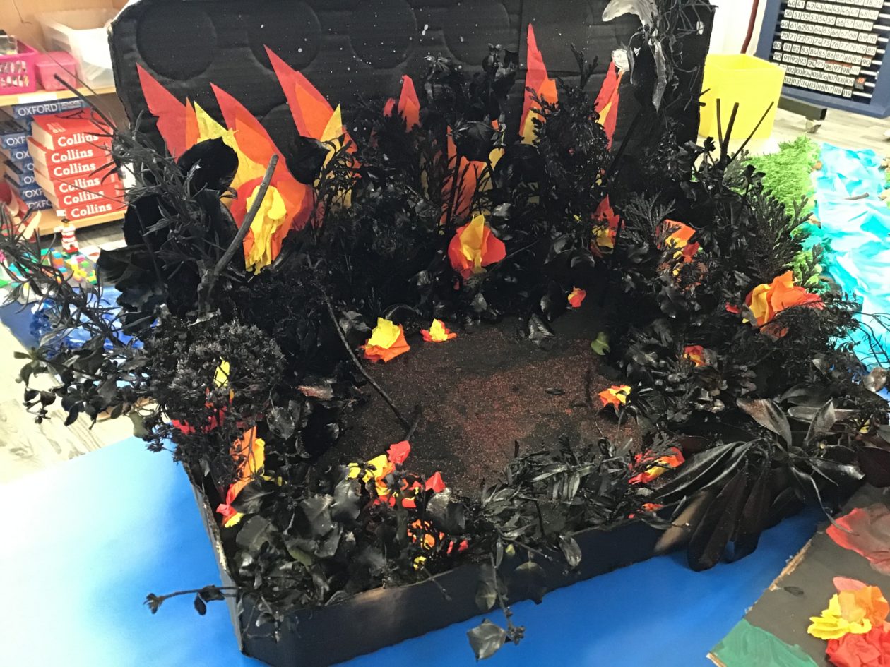 Natural Disasters Homework