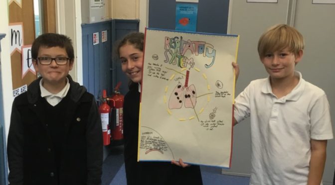 Primary 6 – The Respiratory System