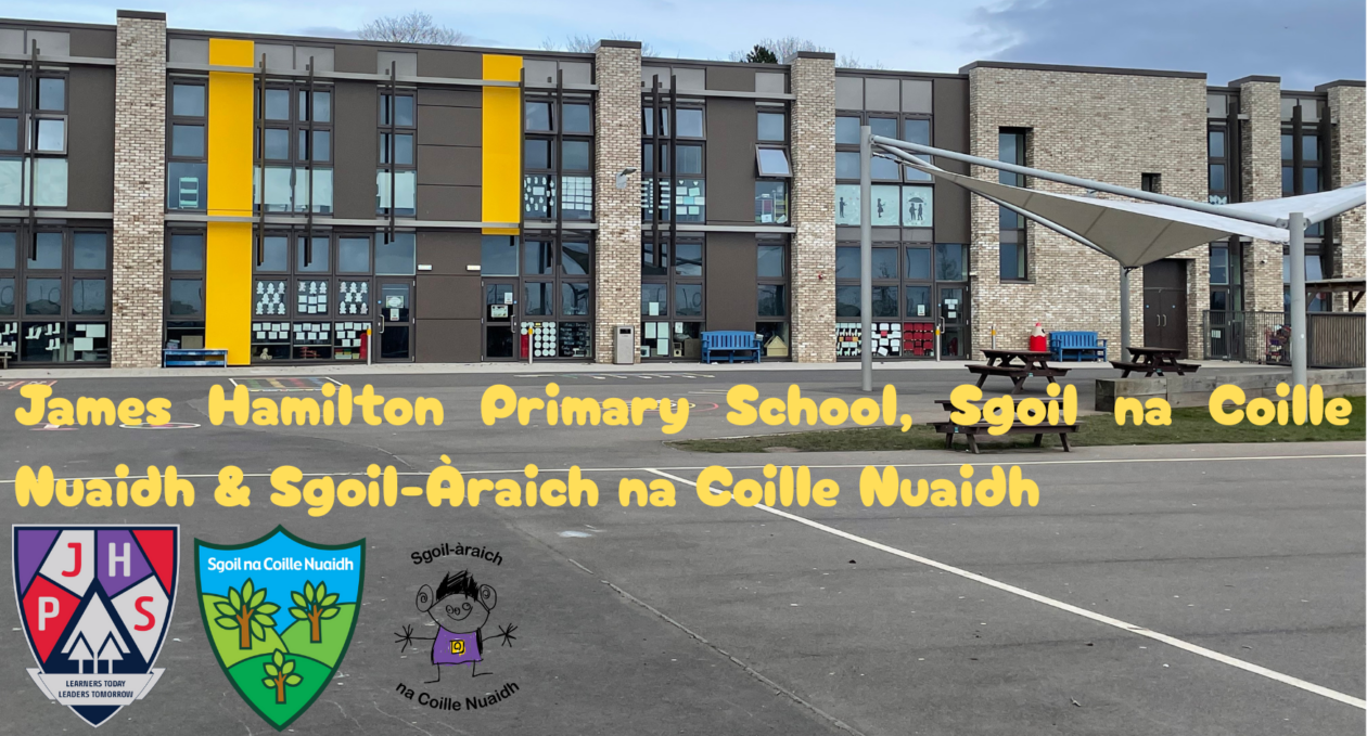 P2a James Hamilton Primary School