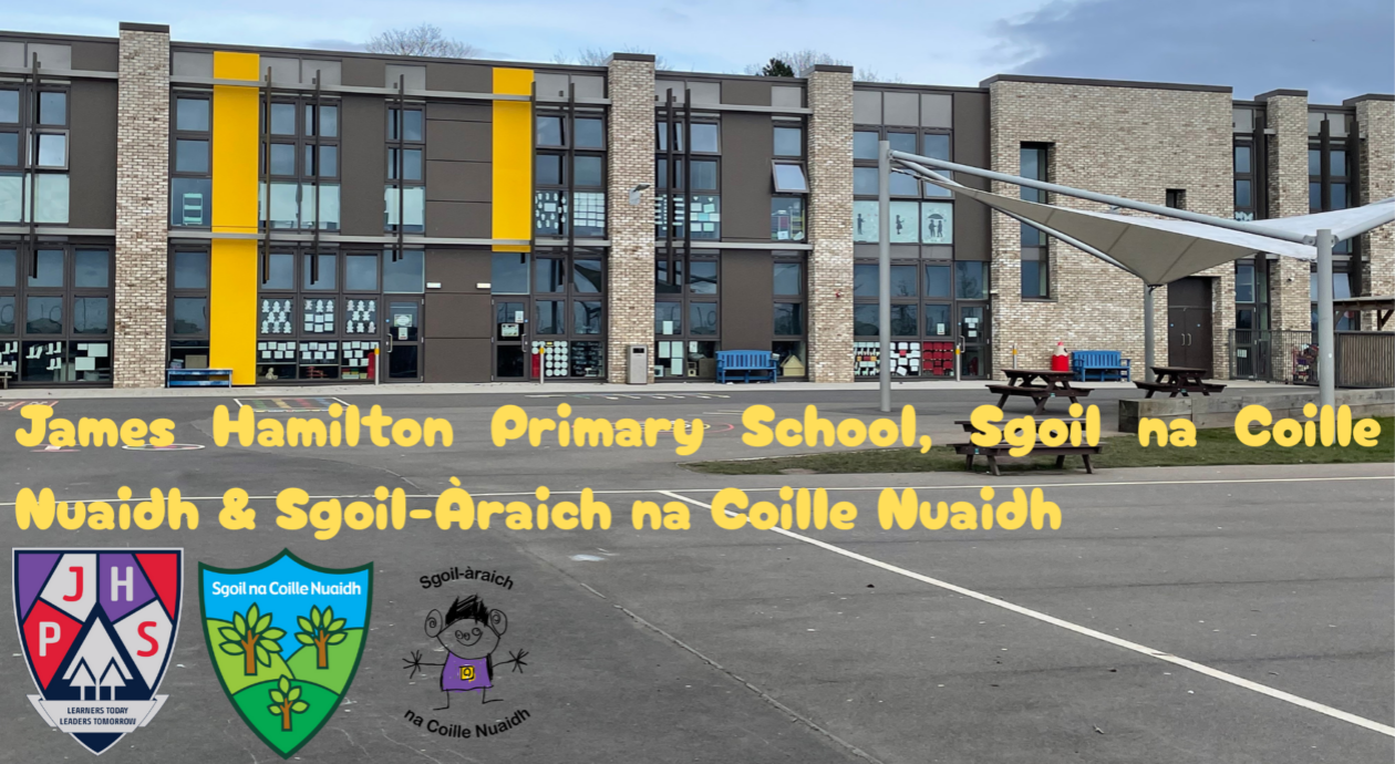 P5 James Hamilton Primary School