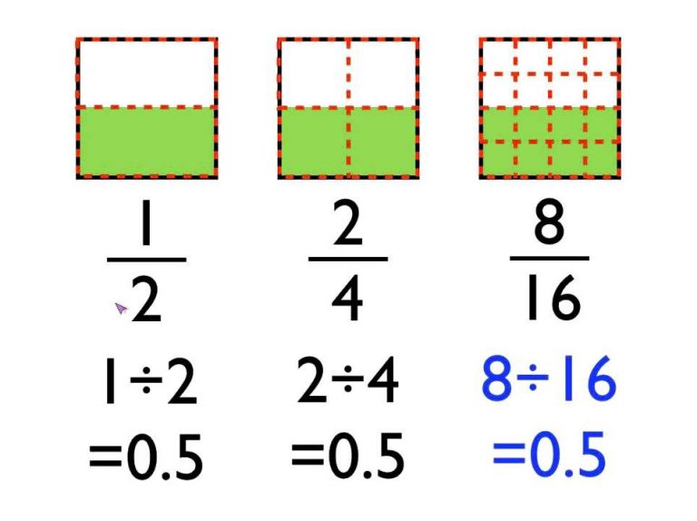 Fractions – Primary Five