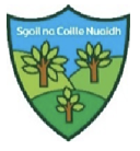 Fàilte gu Sgoil na Coille Nuaidh | Primary 1 Transition at James Hamilton Primary School and Sgoil na Coille Nuaidh