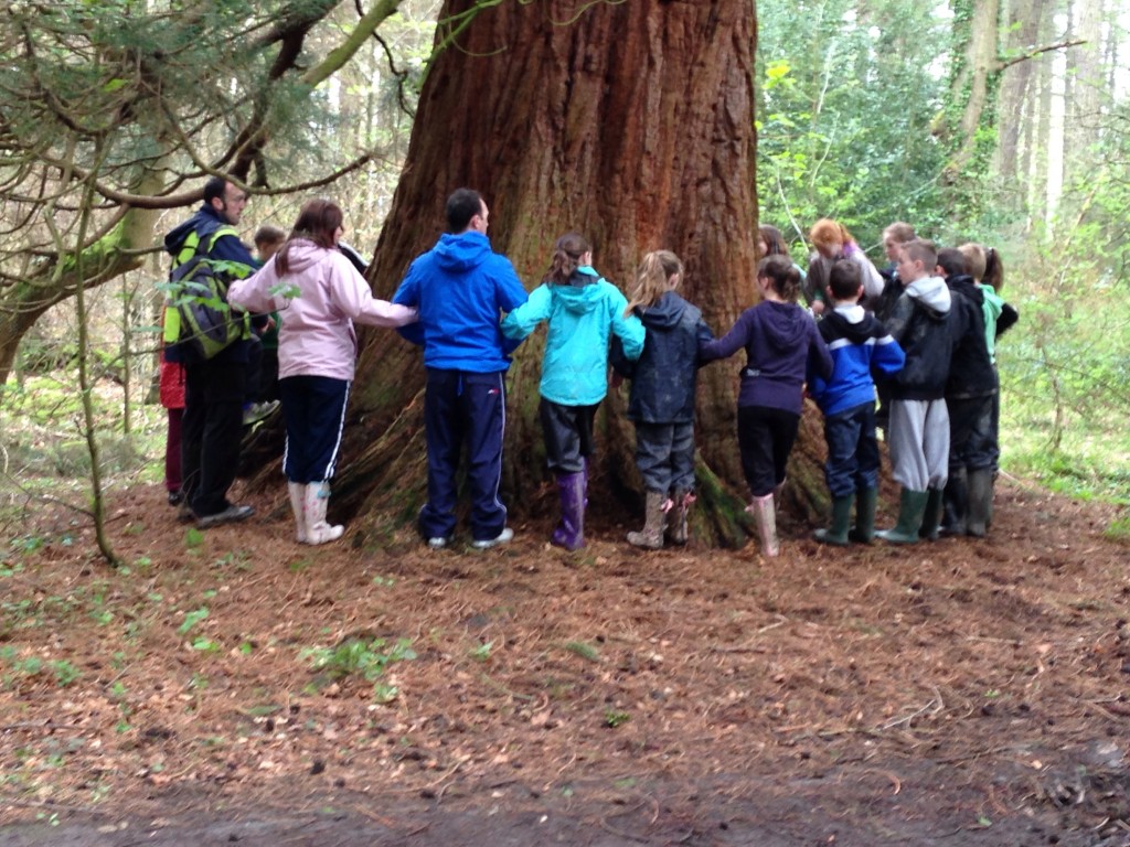 Nature Walk | Kingswood 2014