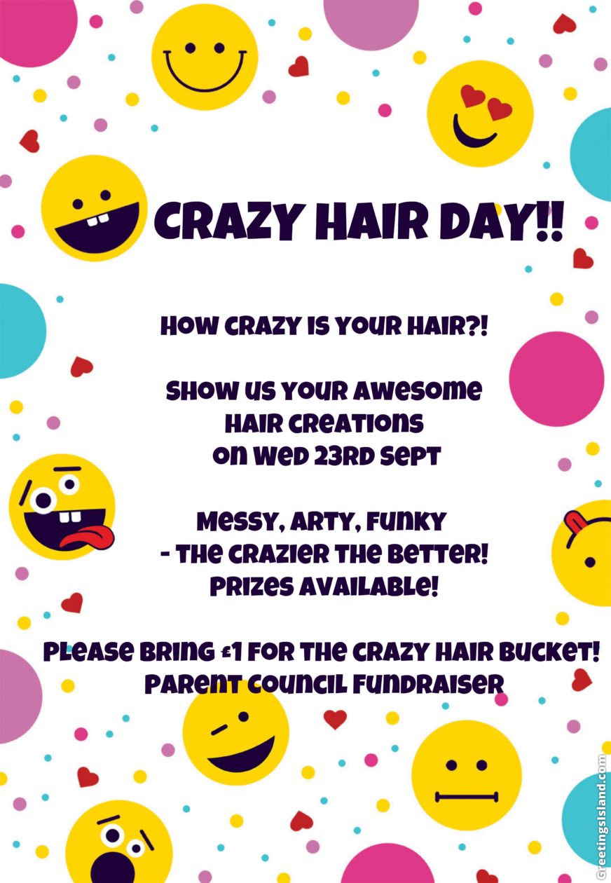 crazy hair day | Giffnock Primary