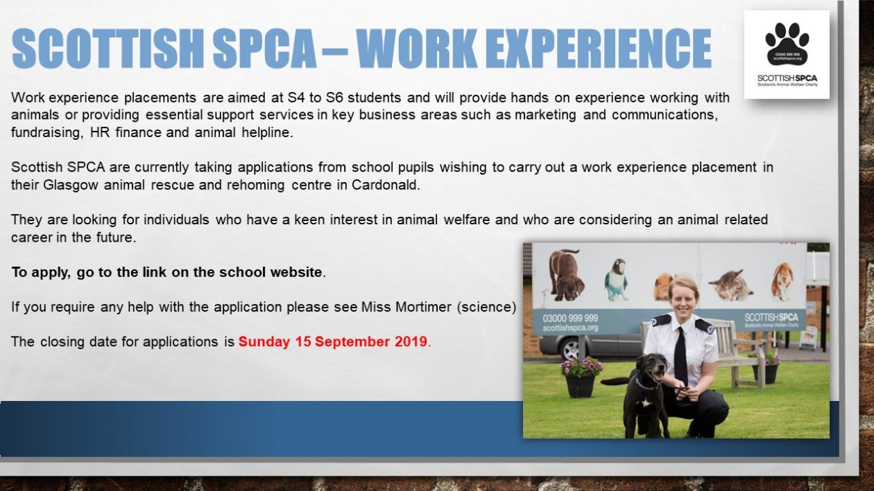 Spca Work Scottish SPCA – Work Experience | Williamwood High School