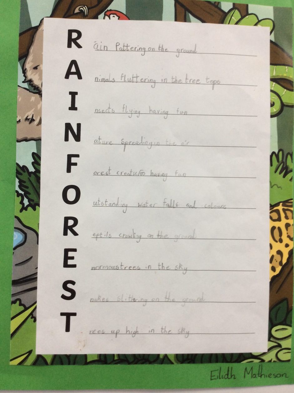 Rainforest Acrostic Poems! | P3.11 Blog