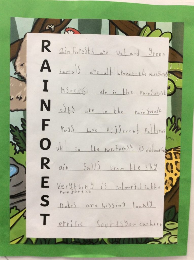 Rainforest Acrostic Poems! | P4.20 Blog