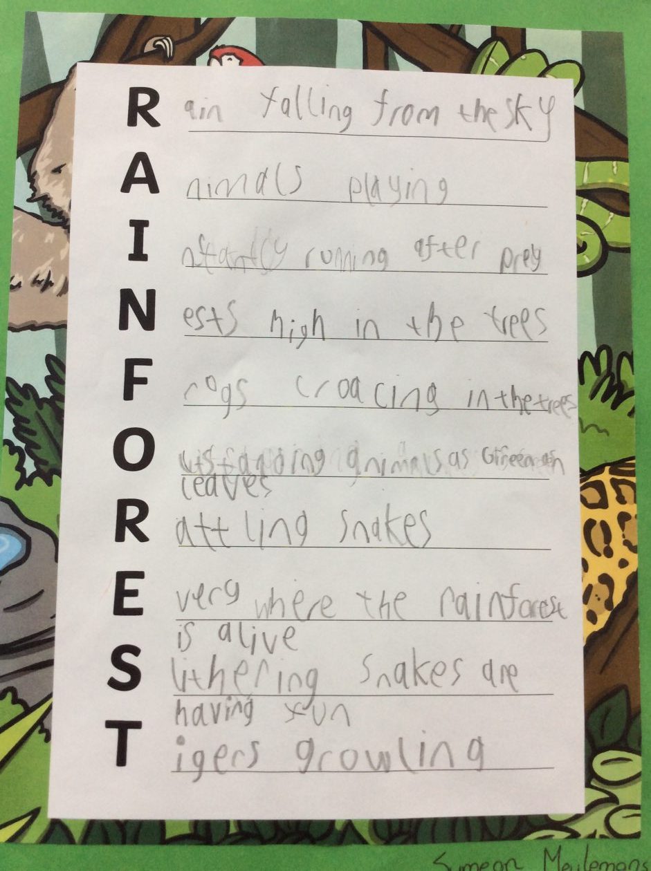 Rainforest Acrostic Poems! | P5.19 Blog 2023/24