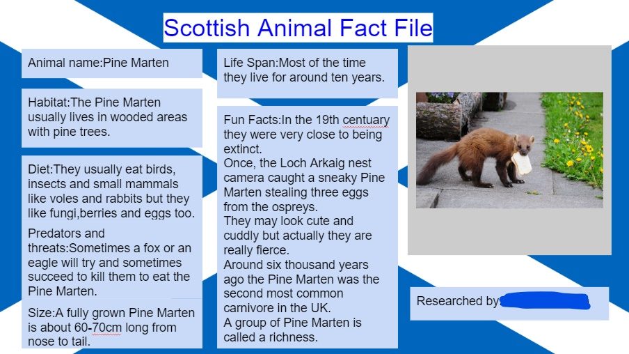 Scottish Animal Fact Files Retired 2022 P7 27 Blog