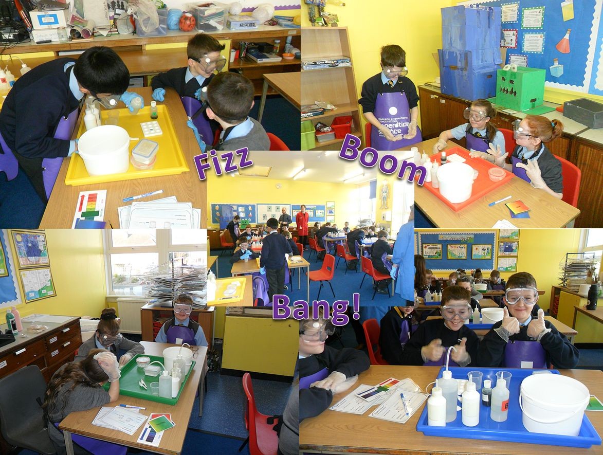 Primary 6 Science