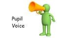Pupil voice