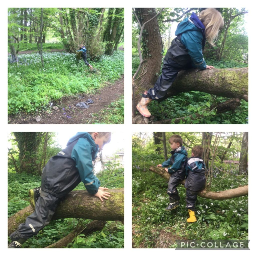 Our Outdoor Classroom Cart Mill Family Centre