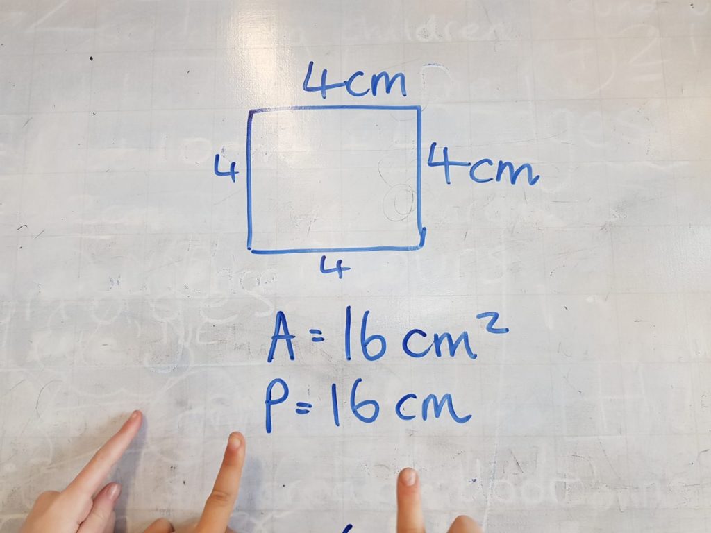 Applying Area and Perimeter in Real Life Primary 7/1 20152022