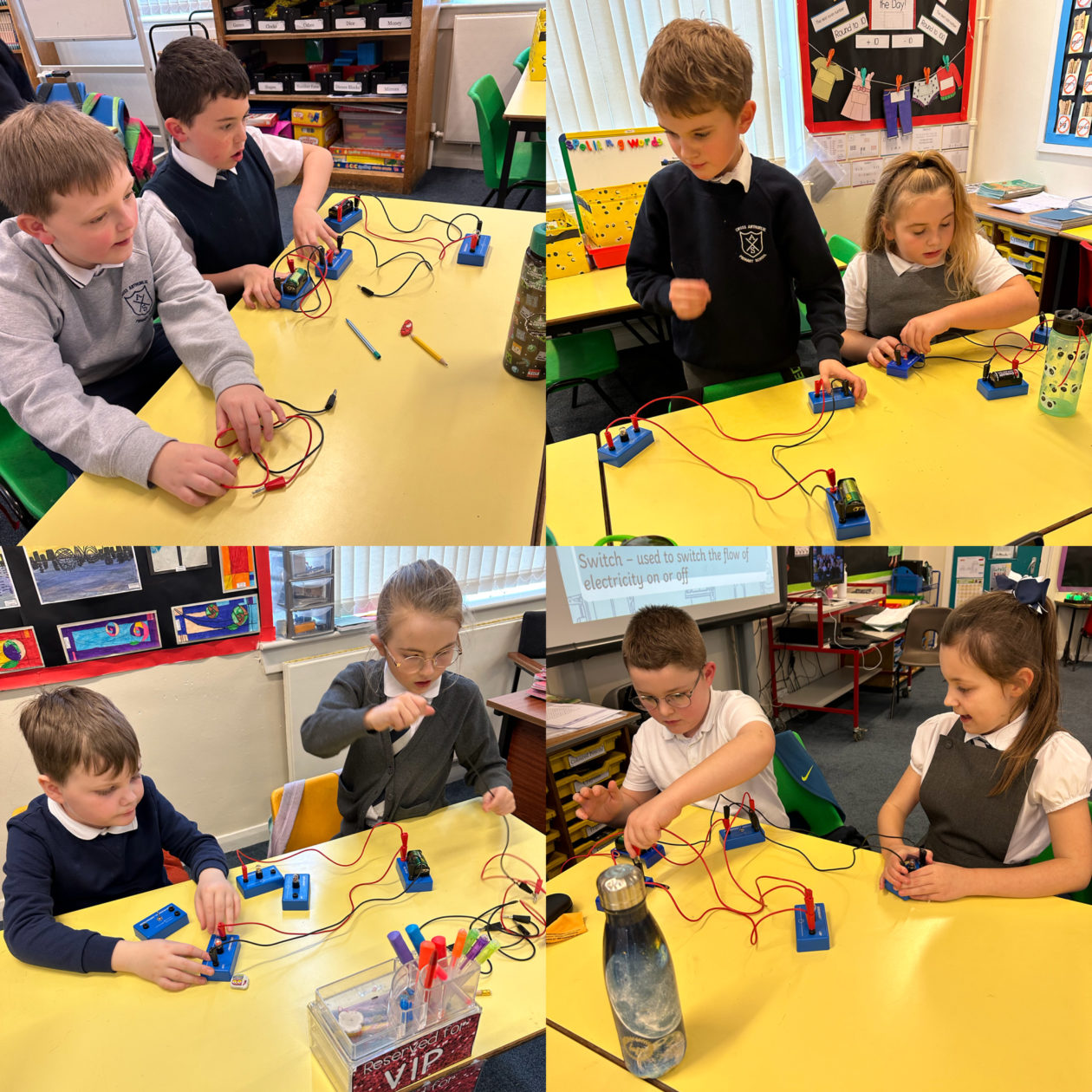 Electricity Primary 5/2 20192026