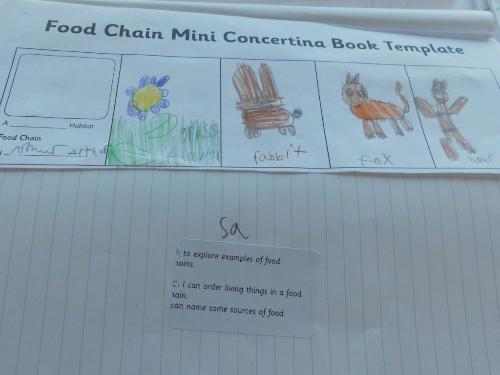 Food Chains Kirkhill Primary (P4a)