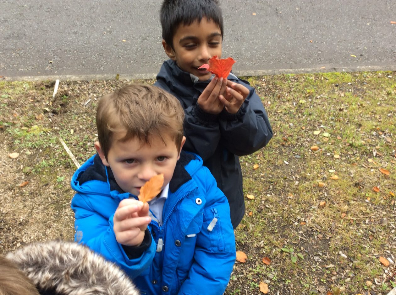 Autumnal Outdoor Learning | Retired – Primary 1.3