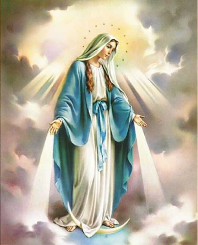 Mrs Jenkins | SNHS Faith Life