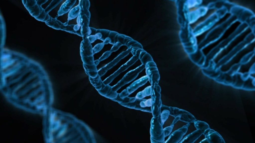 Biology Department Find Up To Date Information On Courses And Resources 