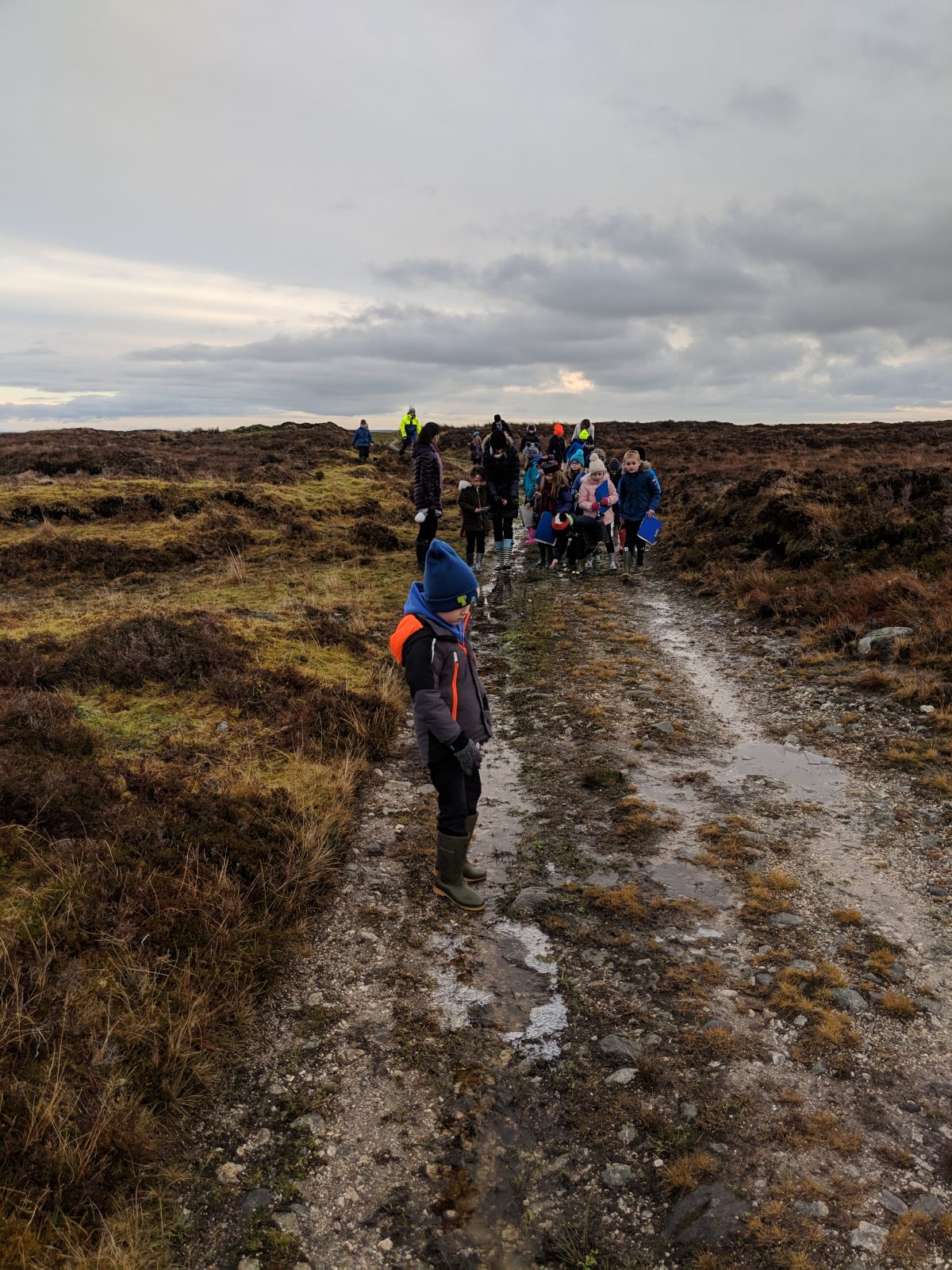 Exploring the Moor with Tong School – Outdoor Learning in the the Outer ...