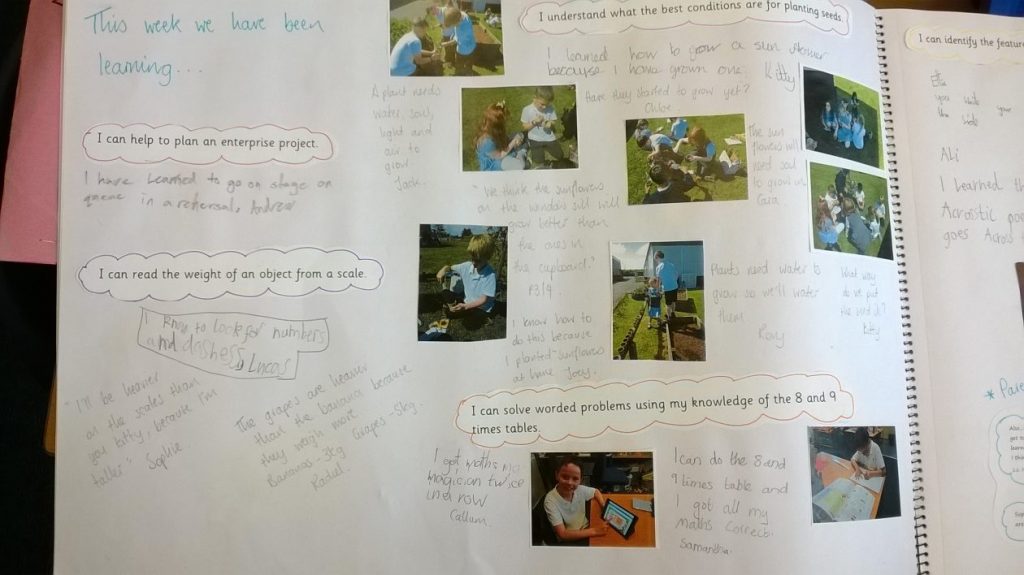 California PS Explore “Reflective” Floor Books IDL Central