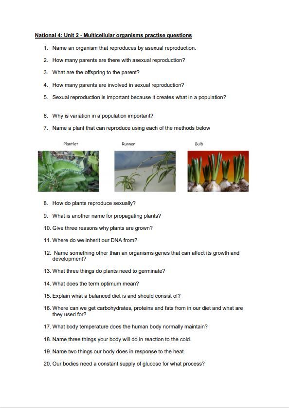 National 4 Biology Unit 2 - Multicellular Organisms Questions