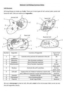 National 5 Biology Unit 1 - Cell Biology Notes