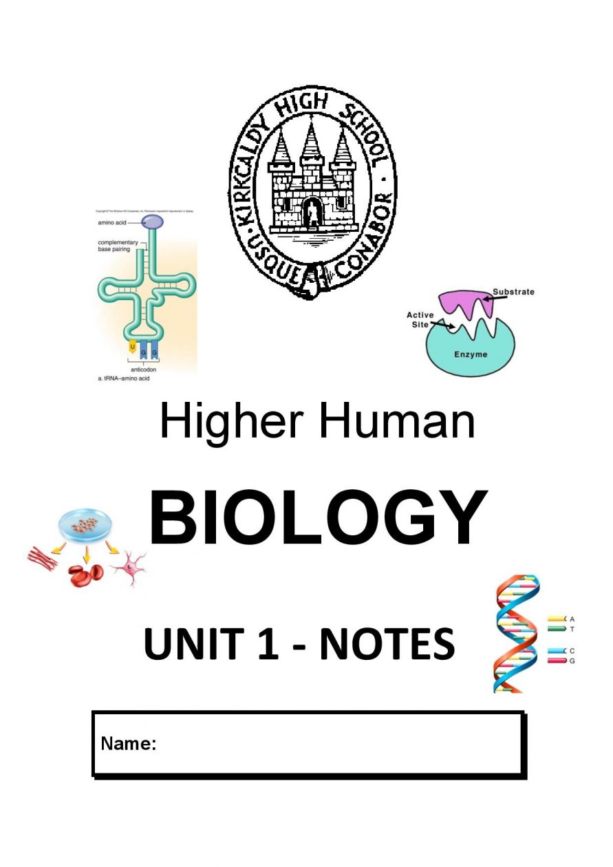 higher human biology problem solving