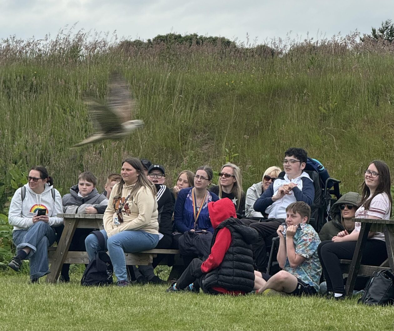 KHS Supported Learning Visit the Scottish Deer Centre