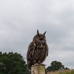 KHS Supported Learning Visit the Scottish Deer Centre