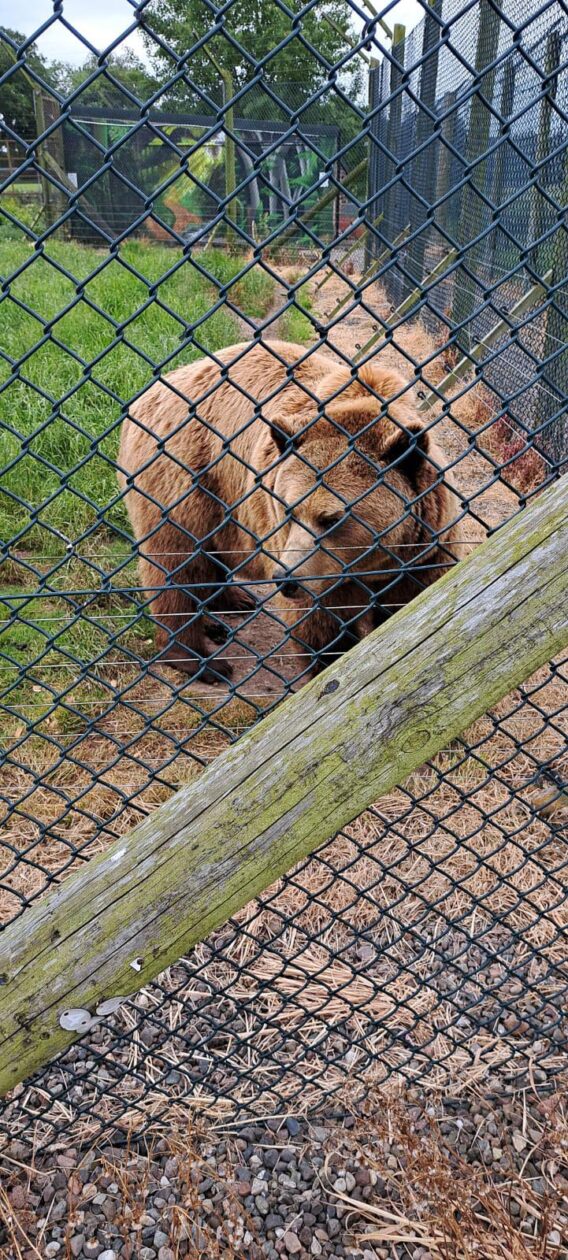 KHS Supported Learning Visit the Scottish Deer Centre