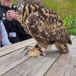 KHS Supported Learning Visit the Scottish Deer Centre