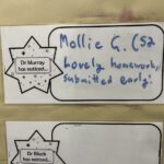 KHS Science Stars week beginning 13/01/25