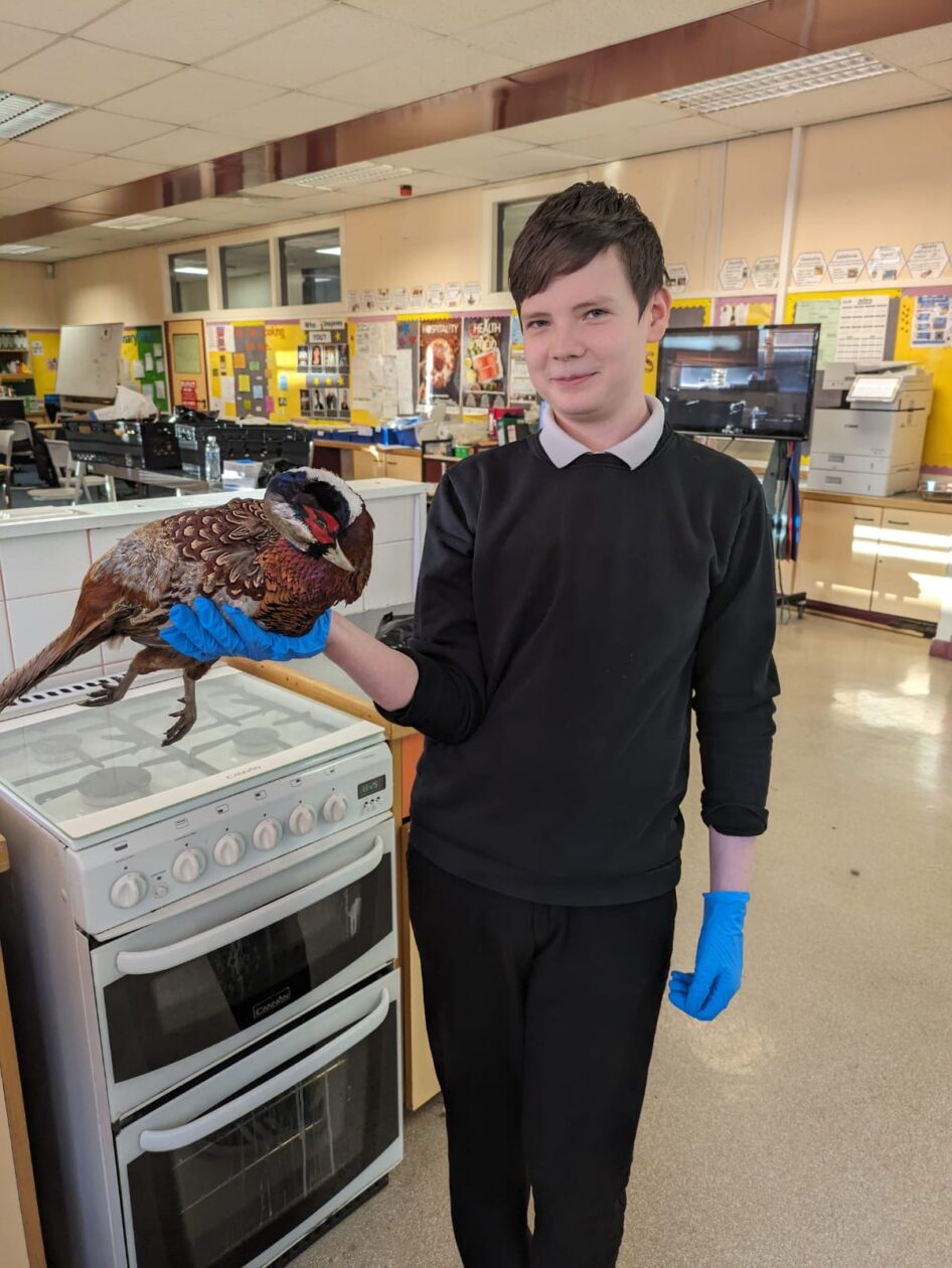Learning About Game Meat