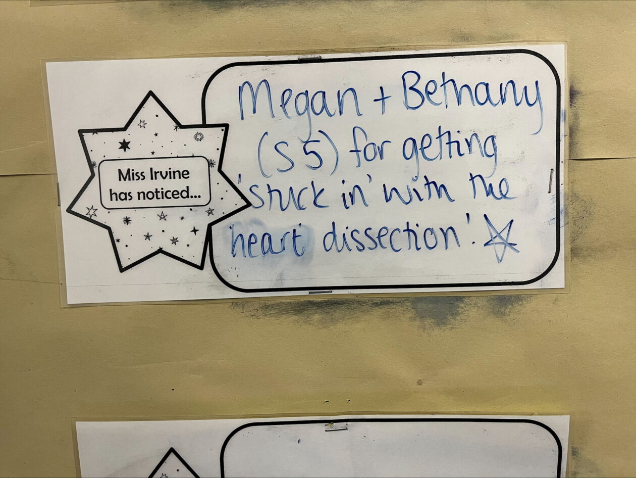 KHS Science Stars
