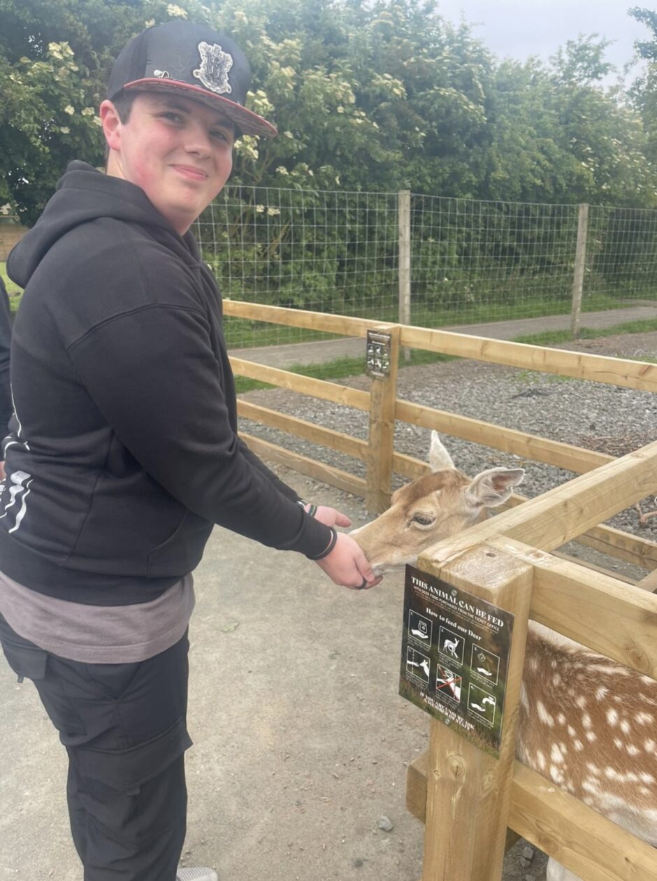 Oh Dear, its...a Deer! 🦌