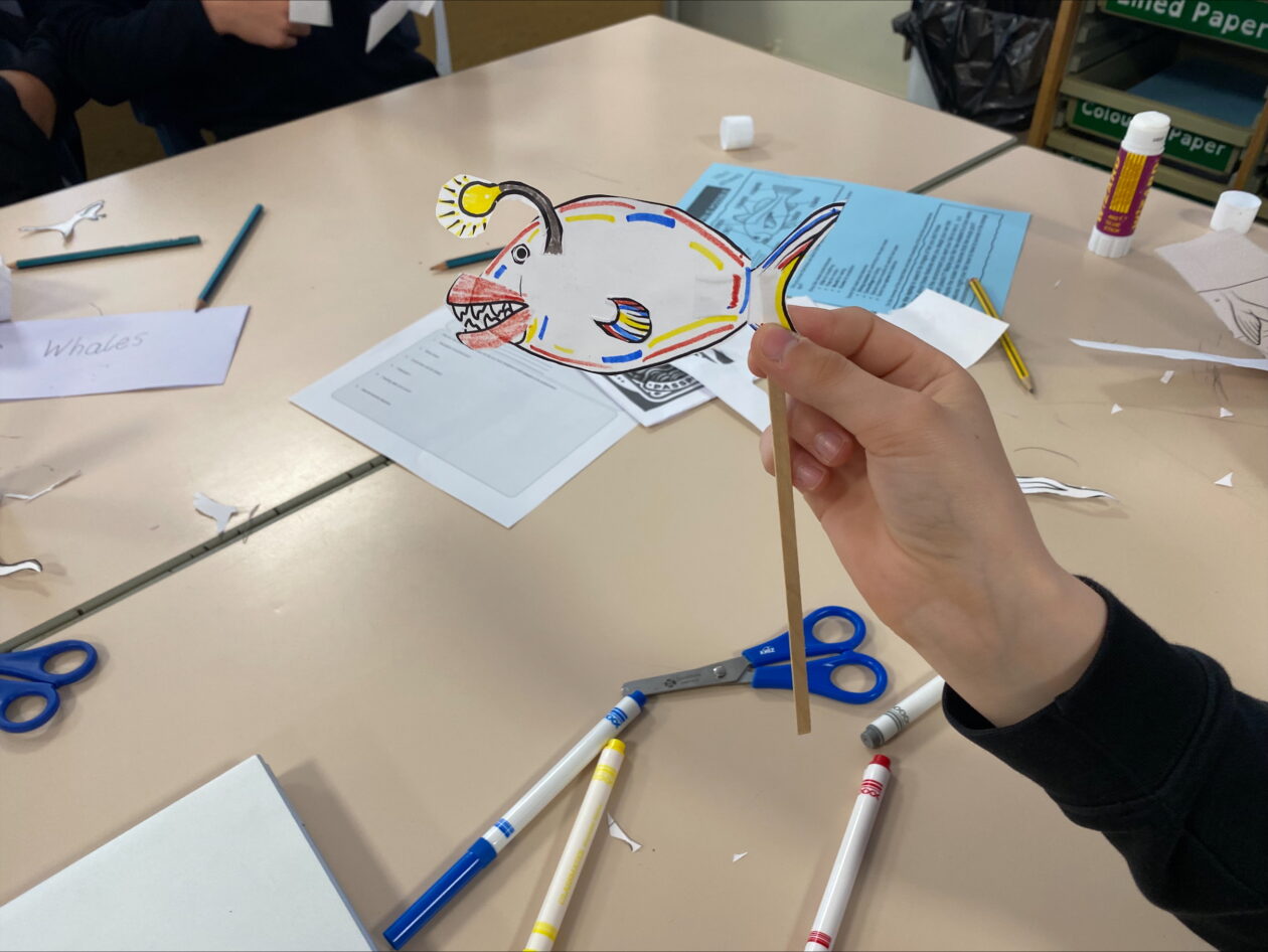 🌊 S2 “Sea Story” Days at Kirkcaldy High School: A Dive into Ocean Conservation🌊