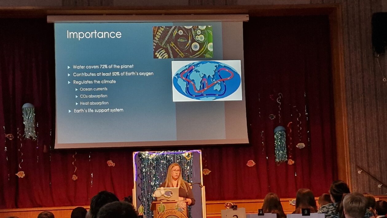 🌊 S2 “Sea Story” Days at Kirkcaldy High School: A Dive into Ocean Conservation🌊
