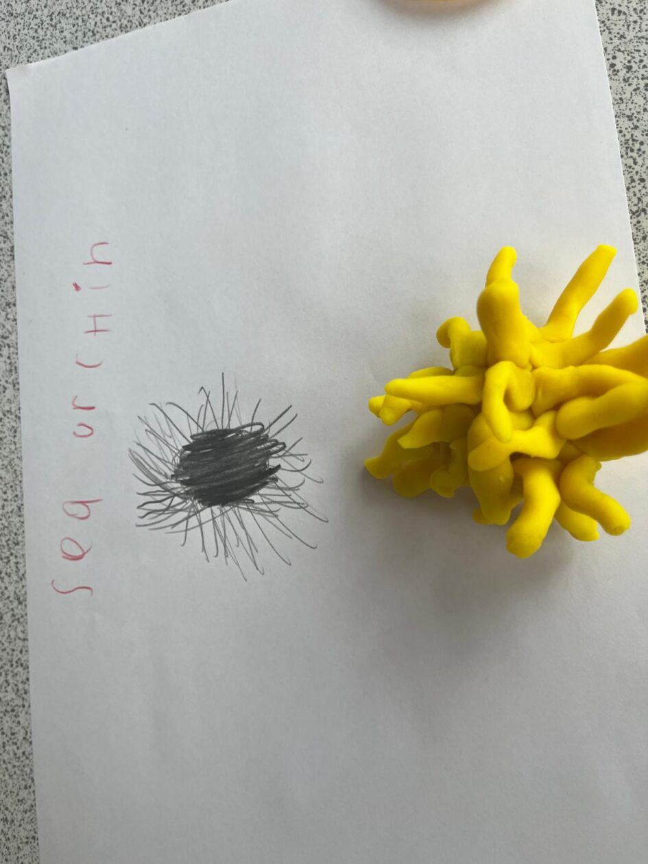 🌊 S2 “Sea Story” Days at Kirkcaldy High School: A Dive into Ocean Conservation🌊